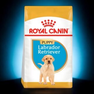 Croquetas Royal Canin para Cachorros Labrador Retriever