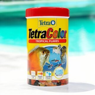 Tetra Color