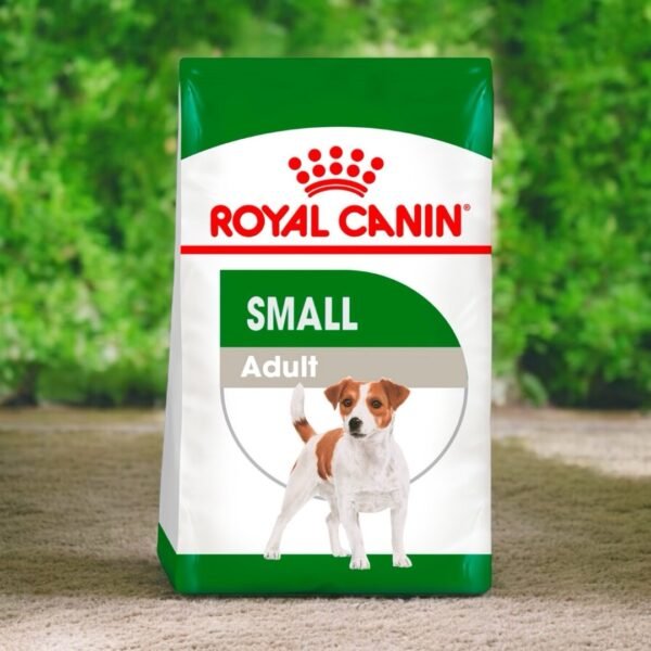 Royal Canin Alimento Seco