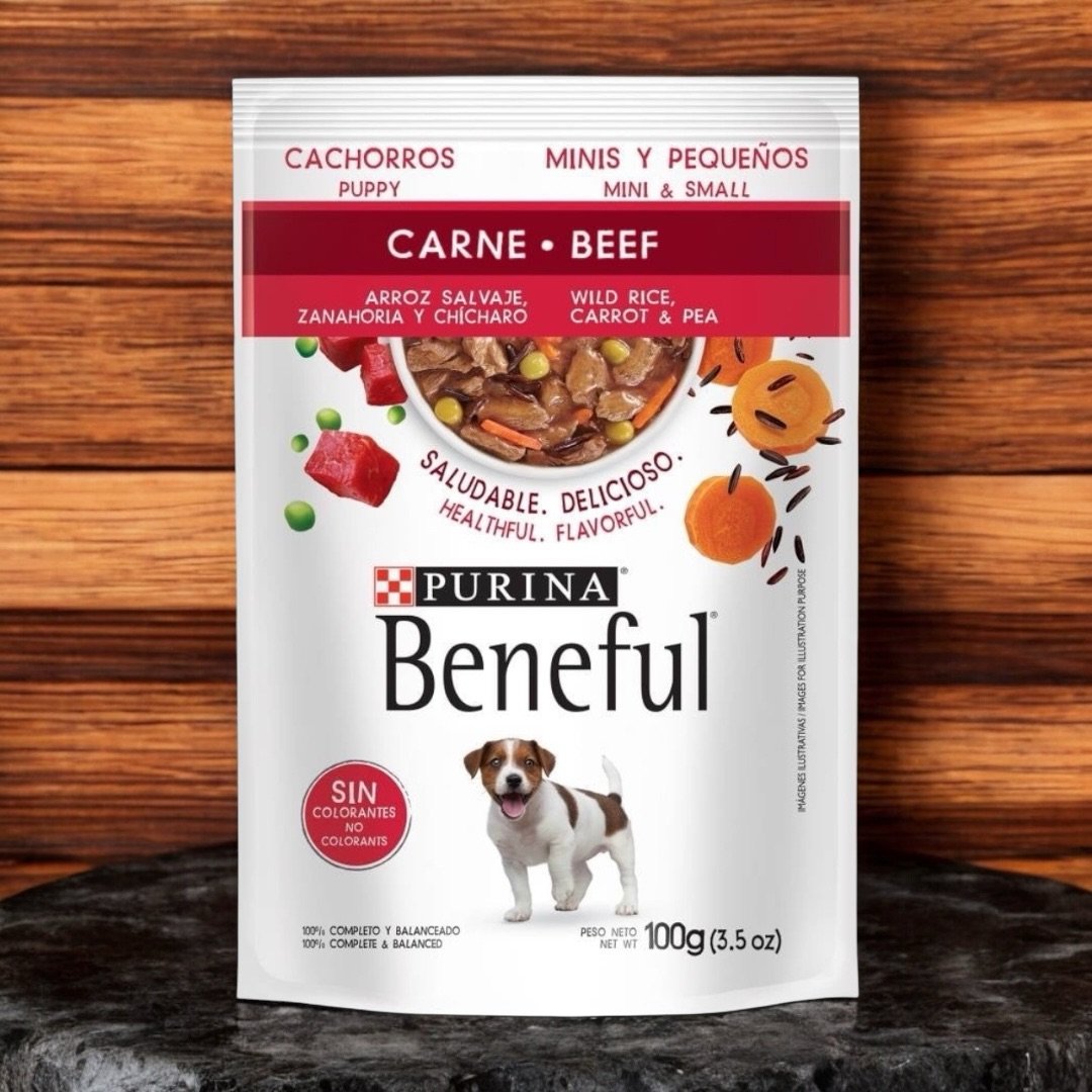 Purina Beneful Carne
