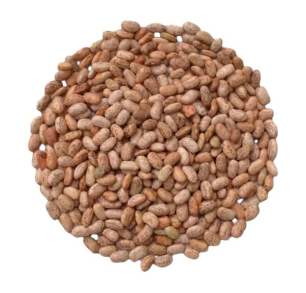 Frijol Pinto