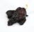 Chile Mulato