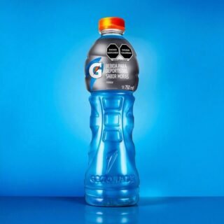 Gatorade Sabor Moras 750