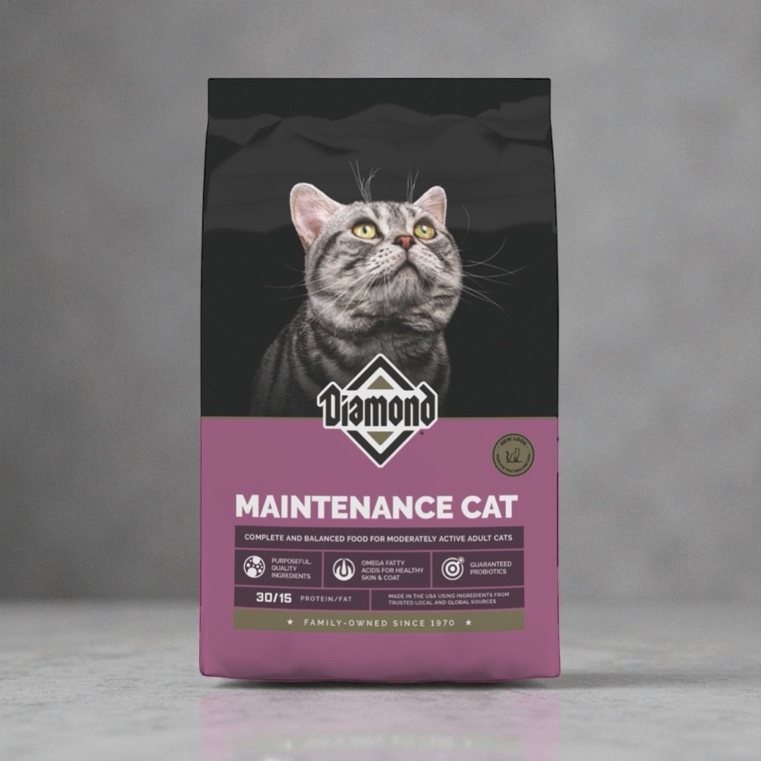 Maintenance Cat 20 Lb 1 Maintenance Cat 20 Lb